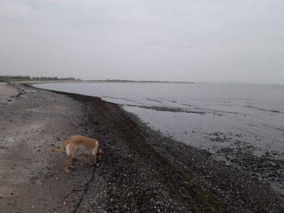 Holiday house Family Haven in Kramnitze - By Traum Ferienwohnungen - Outdoor photo 33