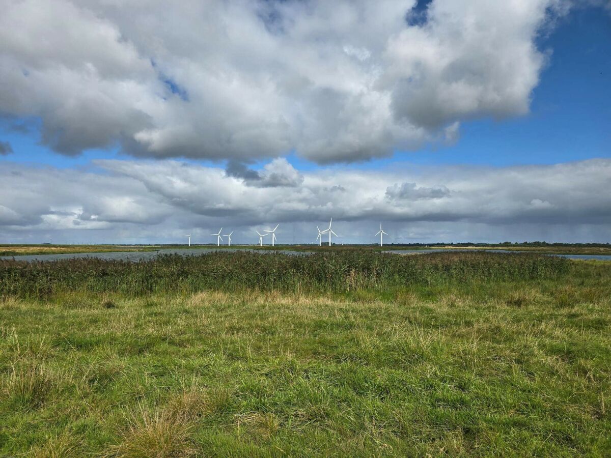 Holiday house 4 Personen Ferienhaus in Bramming-By Traum - Outdoor photo 5