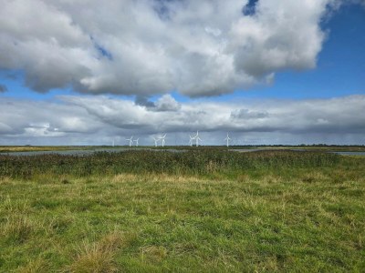 Holiday house 4 Personen Ferienhaus in Bramming-By Traum - Outdoor photo 5