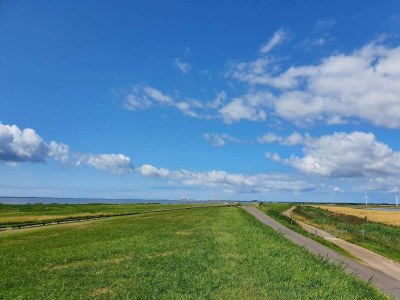 Holiday house 4 Personen Ferienhaus in Bramming-By Traum - Outdoor photo 6