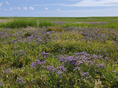 Holiday house 4 Personen Ferienhaus in Bramming-By Traum - Outdoor photo 17