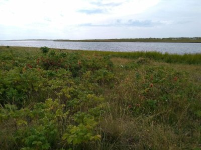 Holiday house 6 Personen Ferienhaus in Hadsund-By Traum - Outdoor photo 30