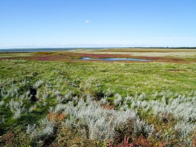 Holiday house 8 person holiday home in Læsø-By Traum - Outdoor photo 23