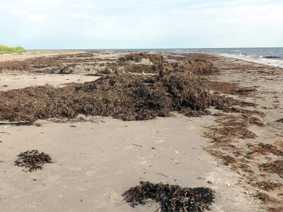 Holiday house 8 person holiday home in Læsø-By Traum - Outdoor photo 24