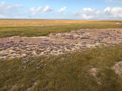 Holiday house 8 person holiday home in Læsø-By Traum - Outdoor photo 34