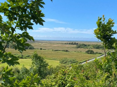 Holiday house 6 person holiday home in Brovst-By Traum - Outdoor photo 25