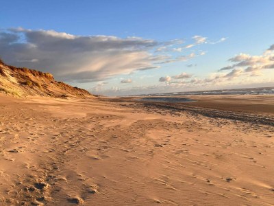 Holiday house Helles Sommerhaus am Meer -- By Traum Ferienwohnungen - Outdoor photo 14