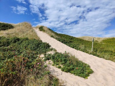 Holiday house Helles Sommerhaus am Meer -- By Traum Ferienwohnungen - Outdoor photo 19