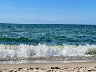 Holiday house Helles Sommerhaus am Meer -- By Traum Ferienwohnungen - Outdoor photo 23
