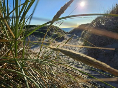 Holiday house Helles Sommerhaus am Meer -- By Traum Ferienwohnungen - Outdoor photo 31