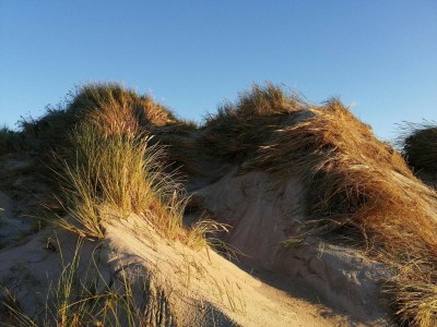 Holiday house Helles Sommerhaus am Meer -- By Traum Ferienwohnungen - Outdoor photo 32