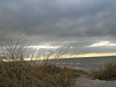 Holiday house Helles Sommerhaus am Meer -- By Traum Ferienwohnungen - Outdoor photo 35
