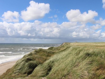 Holiday house Helles Sommerhaus am Meer -- By Traum Ferienwohnungen - Outdoor photo 36