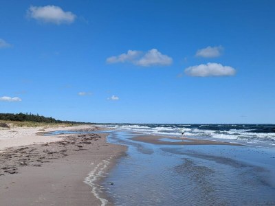 Holiday house Charmante Ruckzug in Marielyst -- By Traum Ferienwohnungen - Outdoor photo 40