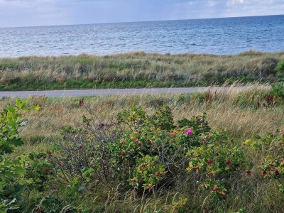 Holiday house 10 person holiday home in Allingåbro-By Traum - Outdoor photo 11