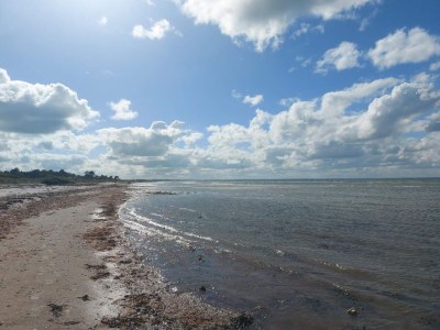 Holiday house 10 person holiday home in Allingåbro-By Traum - Outdoor photo 22