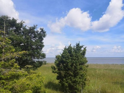 Holiday house 10 person holiday home in Allingåbro-By Traum - Outdoor photo 33