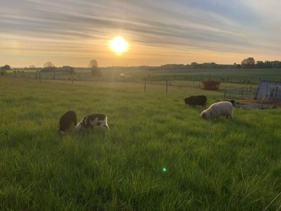 Holiday house 4 person holiday home in Skibby-By Traum - Outdoor photo 8