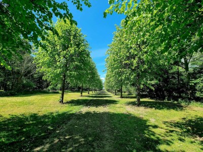 Holiday house 4 person holiday home in Skibby-By Traum - Outdoor photo 20