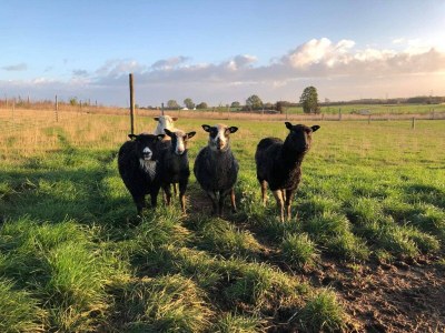 Holiday house 4 person holiday home in Skibby-By Traum - Outdoor photo 33