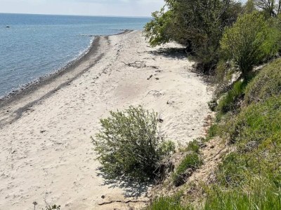 Holiday house 14 Personen Ferienhaus in Idestrup-By Traum - Outdoor photo 8