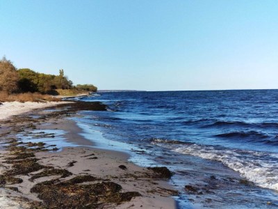 Holiday house 14 Personen Ferienhaus in Idestrup-By Traum - Outdoor photo 10