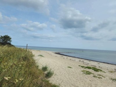 Holiday house 14 Personen Ferienhaus in Idestrup-By Traum - Outdoor photo 12