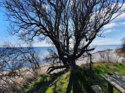 Holiday house 14 Personen Ferienhaus in Idestrup-By Traum - Outdoor photo 22