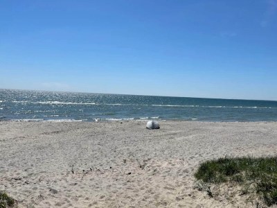 Holiday house 14 Personen Ferienhaus in Idestrup-By Traum - Outdoor photo 24