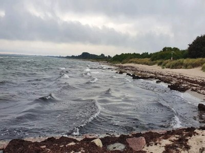 Holiday house 14 Personen Ferienhaus in Idestrup-By Traum - Outdoor photo 25