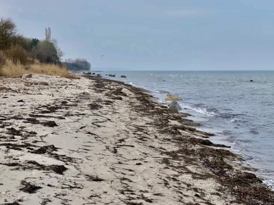 Holiday house 14 Personen Ferienhaus in Idestrup-By Traum - Outdoor photo 26