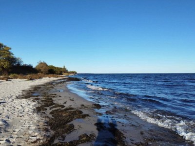 Holiday house 14 Personen Ferienhaus in Idestrup-By Traum - Outdoor photo 43