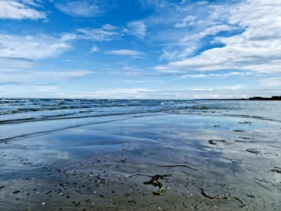 Holiday house Modernes Strandhaus -- By Traum Ferienwohnungen - Outdoor photo 29