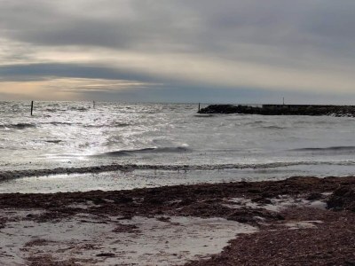 Holiday house 12 Personen Ferienhaus in Rødby-By Traum - Outdoor photo 18