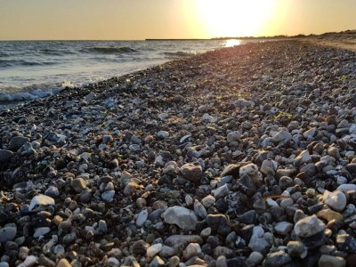 Holiday house 12 Personen Ferienhaus in Rødby-By Traum - Outdoor photo 24
