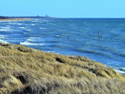 Holiday house 12 Personen Ferienhaus in Rødby-By Traum - Outdoor photo 38