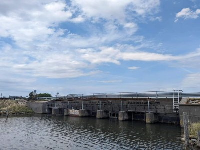 Holiday house 12 Personen Ferienhaus in Rødby-By Traum - Outdoor photo 39
