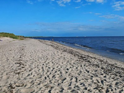 Holiday house 12 Personen Ferienhaus in Rødby-By Traum - Outdoor photo 42