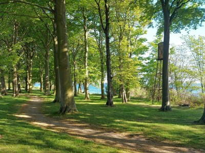 Holiday house 8 Personen Ferienhaus in Nysted - Outdoor photo 3