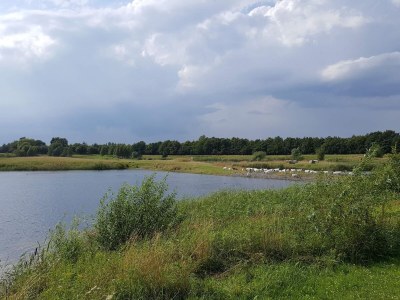 Holiday house 8 Personen Ferienhaus in Nysted - Outdoor photo 34