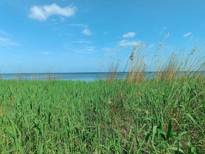 Holiday house 6 person holiday home in Præstø-By Traum - Outdoor photo 11