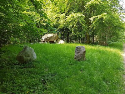 Holiday house 6 person holiday home in Præstø-By Traum - Outdoor photo 13