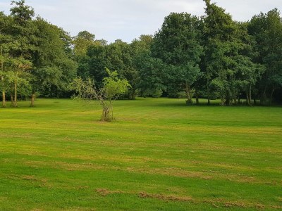 Holiday house 6 person holiday home in Præstø-By Traum - Outdoor photo 21