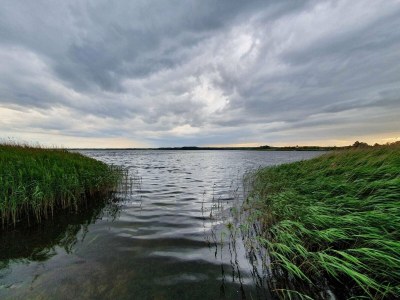 Holiday house 6 person holiday home in Præstø-By Traum - Outdoor photo 24