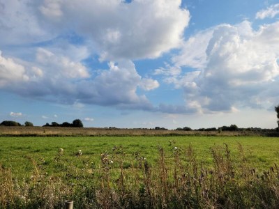 Holiday house 6 person holiday home in Præstø-By Traum - Outdoor photo 29