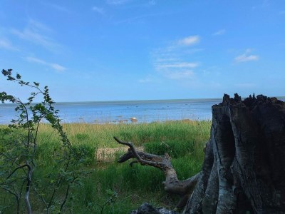 Holiday house 6 person holiday home in Præstø-By Traum - Outdoor photo 33