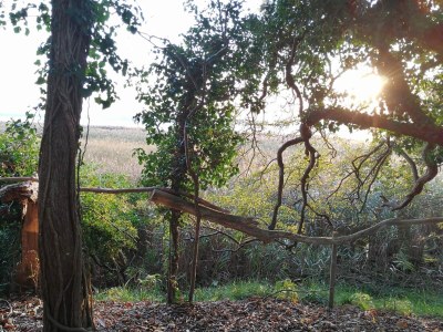Holiday house 6 person holiday home in Præstø-By Traum - Outdoor photo 36