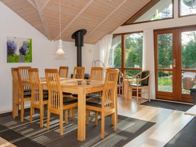 Holiday house 8 Personen Ferienhaus in Ulfborg - Outdoor photo 25