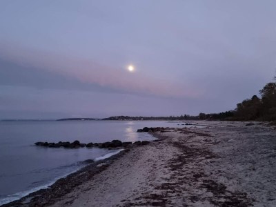 Holiday house 6 person holiday home in Dronningmølle-By Traum - Outdoor photo 17