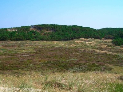 Holiday house Tranquil Retreat in Klitmoller - By Traum Ferienwohnungen - Outdoor photo 6